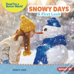 Capa do artigo Snowy Days