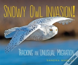 Capa do artigo Snowy Owl Invasion!