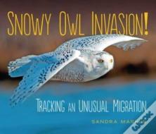 Snowy Owl Invasion!
