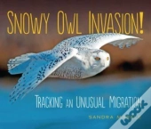 Snowy Owl Invasion!