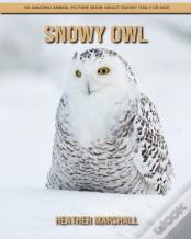 Snowy Owl