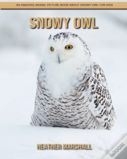 Capa do artigo Snowy Owl