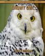 Snowy Owl - Preview