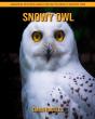 Snowy Owl - Preview