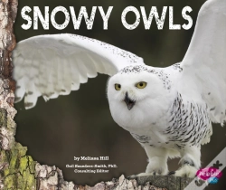 Capa do artigo Snowy Owls