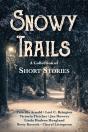 Snowy Trails - Preview