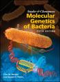 Snyder And Champness Molecular Genetics Of Bacteria - Preview