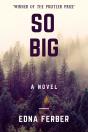 So Big (A Novel) - Preview
