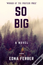 Capa do artigo So Big (A Novel)