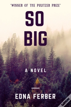 Capa do artigo So Big (A Novel)