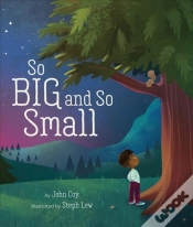 Capa do artigo So Big And So Small