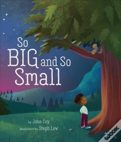 Capa do artigo So Big And So Small