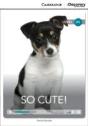 So Cute! Beginning Book With Online Access - Preview