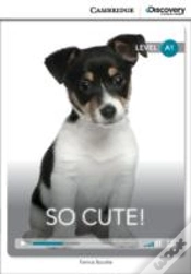 Capa do artigo So Cute! Beginning Book With Online Access
