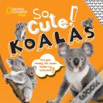 So Cute! Koalas