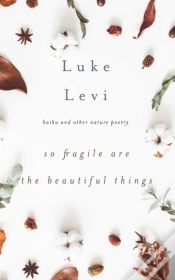 Capa do artigo So Fragile Are The Beautiful Things