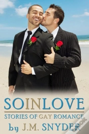 Capa do artigo So In Love Box Set