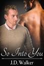So Into You - Preview