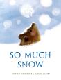 So Much Snow - Preview