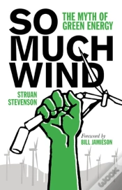 Capa do artigo So Much Wind