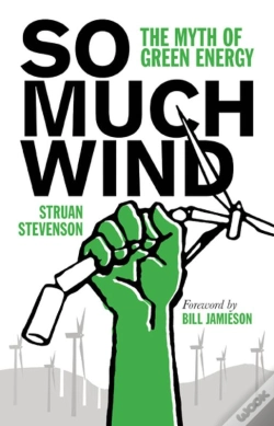 Capa do artigo So Much Wind