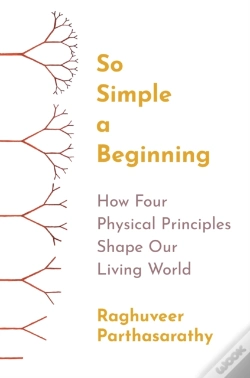 Capa do artigo So Simple A Beginning