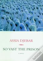 So Vast The Prison