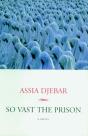 So Vast The Prison - Preview