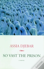 Capa do artigo So Vast The Prison