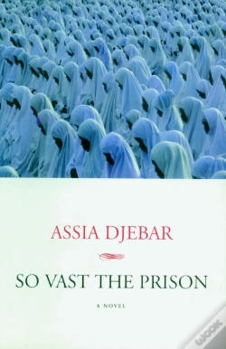 Capa do artigo So Vast The Prison