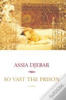 So Vast The Prison