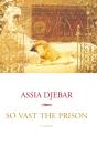So Vast The Prison - Preview