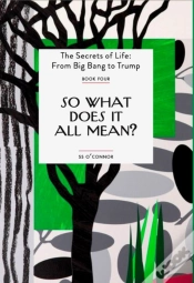 Capa do artigo So What Does It All Mean?