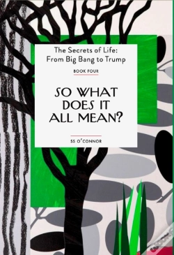 Capa do artigo So What Does It All Mean?