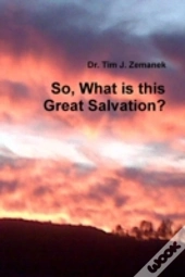 So, What Is This Great Salvation?