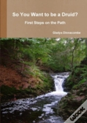 Capa do artigo So You Want To Be A Druid? - First Steps On The Path