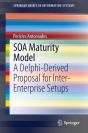 Soa Maturity Model - Preview