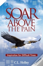 Soar Above The Pain
