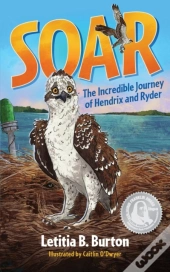 Soar