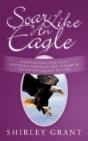 Soar Like An Eagle - Preview
