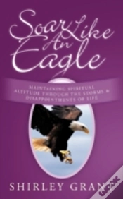 Capa do artigo Soar Like An Eagle