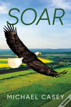 Capa do artigo Soar