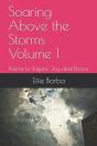 Soaring Above The Storms Volume 1 - Preview