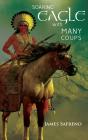 Soaring Eagle With Many Coups - Preview