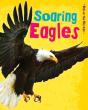 Soaring Eagles - Preview
