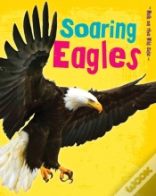 Capa do artigo Soaring Eagles