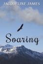 Soaring - Preview