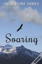 Capa do artigo Soaring
