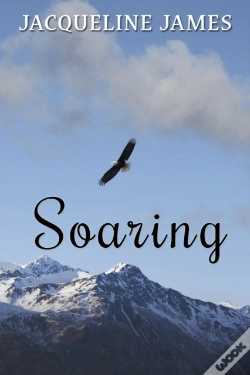 Capa do artigo Soaring