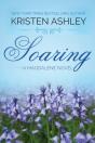 Soaring - Preview